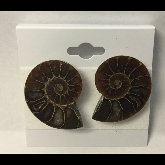 Handmade Studs Earrings made of Natural Ammonite Fossil - Picture 1 of 2